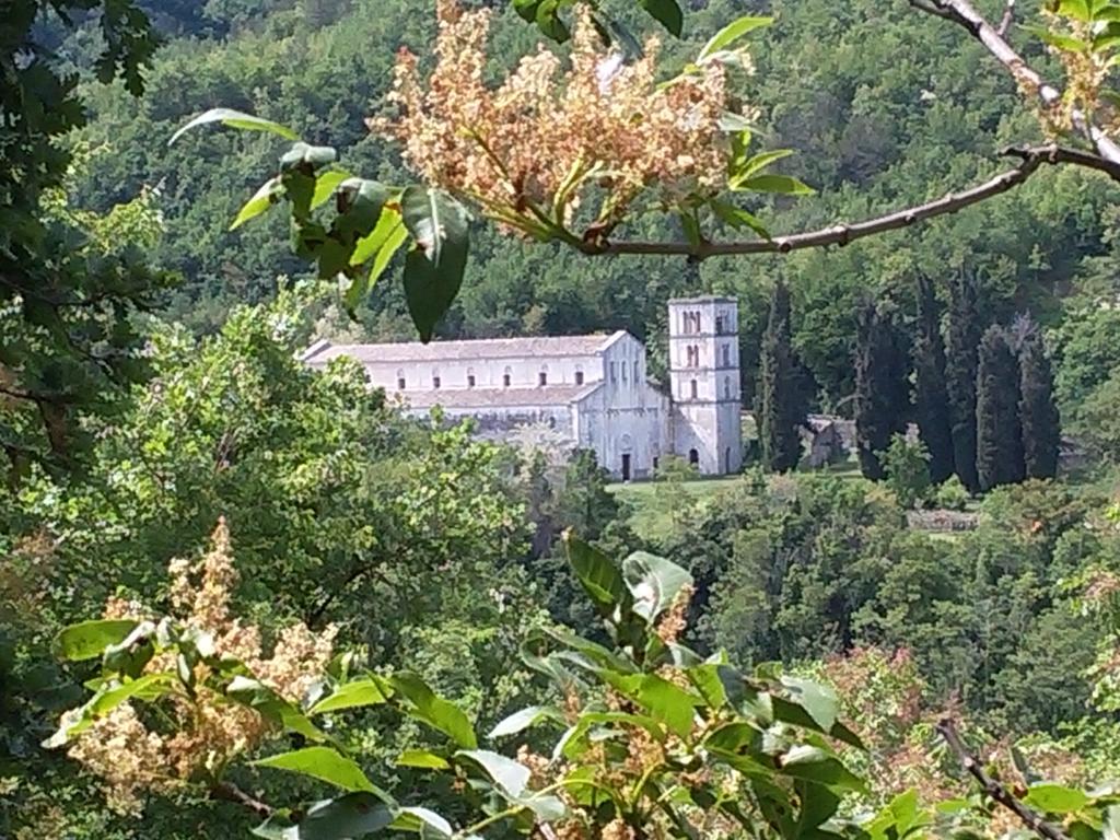 Le Pietre Ricce B&B Roccamontepiano Екстериор снимка